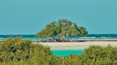 بعد أزمة رأس حنكوراب.. شروط ممارسة الأنشطة الاقتصادية داخل المحميات الطبيعية