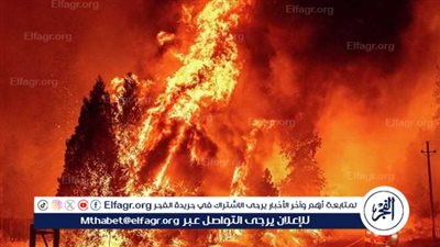 حرائق غابات هائلة في لونغ آيلاند بسبب محاولة طهي حلوى 