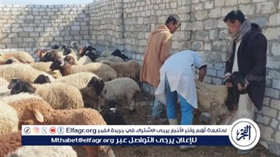 محافظ الفيوم يتابع جهود الطب البيطري لحماية الثروة الحيوانية خلال فبراير