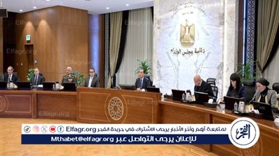 عاجل - 4 قرارات حكومية مهمة بعد اجتماع مجلس الوزراء اليوم