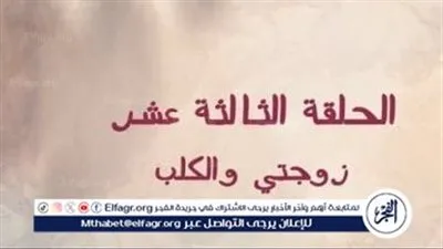 خيانة مي عز الدين تُصدم دياب وطلب طلاق يُفجر المفاجآت في الحلقة 13 من 