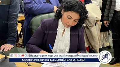 فيولا فهمي: تجربة المجلس السابق كانت 
