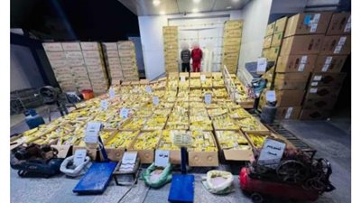 مع قرب عيد الفطر.. ضبط 12 مليون قطعة ألعاب نارية بالفيوم