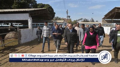 محافظ أسيوط يتفقد سير العمل بمزرعة أبنوب للثروة الحيوانية لتوفير اللحوم بأسعار مخفضة للمواطنين