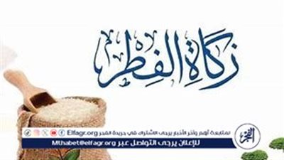 أحكام زكاة الفطر في رمضان 2025: على من تجب؟ وهل تشمل الجنين والميت؟