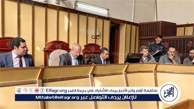 قطع رقبته.. السجن المؤبد لقاتل زوج نجلته ببورسعيد