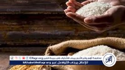 ازاي تؤدي زكاة الفطر بالطريقة الصح؟.. وأفضل وقت لإخراجها