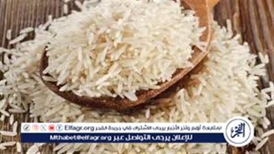 الأرز النهارده بكام؟.. تفاصيل كاملة عن أسعار الأرز الشعير والأرز الأبيض
