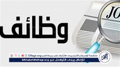 وزارة النقل تعلن عن وظائف شاغرة لأخصائي حاسبات آلية.. التفاصيل والشروط