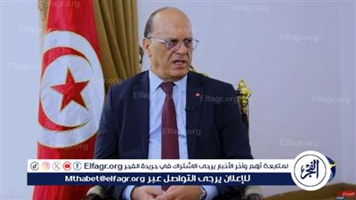 السفير التونسي بالقاهرة: زيارة قيس سعيد لمصر أحدثت نقلة نوعية (فيديو)