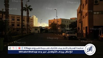جامعة المنصورة تُشارِك في المبادرة العالمية 