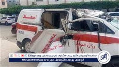 الهلال الأحمر الفلسطيني: القطاع الصحي في غزة يواجه انهيارا شبه كامل (فيديو)