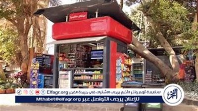 تركيب عدادات الكهرباء للمركبات والأكشاك وعربات البيع المتنقلة لأول مرة في مصر