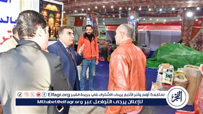 محافظ الدقهلية يتفقد مستوى النظافة والخدمات بشوارع المنصورة