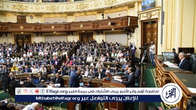 ما أهمية قانون تنظيم الفتوى بعد إقراره من البرلمان؟..موقف الحكومة