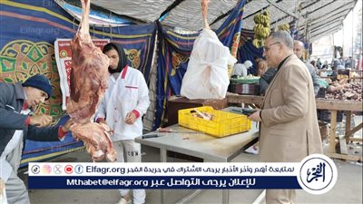 محافظ الدقهلية: ضبط طن دقيق وسلع متنوعة وتحرير 298 مخالفة تموينية 