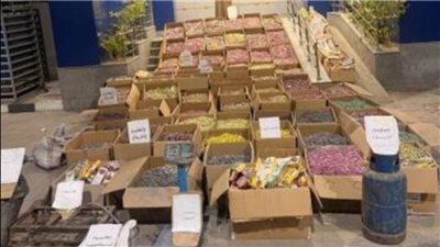 ضبط عامل إدار ورشة لتصنيع الألعاب النارية وبحوزته 3 مليون قطعة بالفيوم