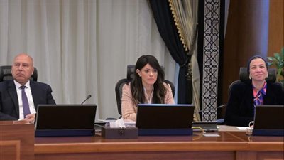 وزيرة التخطيط تستعرض ملامح خطة التنمية الاقتصادية والاجتماعية للعام المالي