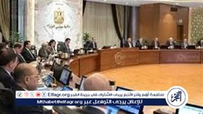 الحكومة: الاستمرار في تنفيذ السياسات الخاصة بالحفاظ على سعر صرف مرن