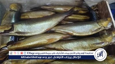 قبل تناول الفسيخ والرنجة.. تعرف على طرق تجنب أضرارها الصحية