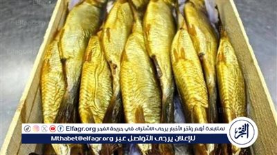 أسعار الفسيخ والرنجة تقفز مع ارتفاع الطلب.. نصائح قبل الشراء