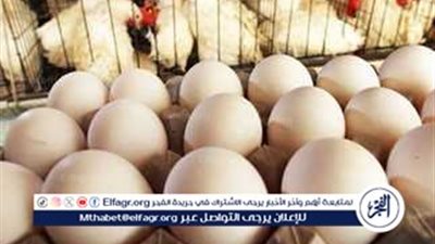 أسعار الدواجن في مصر.. اليوم الجمعة 28 مارس 2025