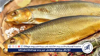 قبل شم النسيم.. 5 علامات تكشف الفسيخ والرنجة الفاسدة 