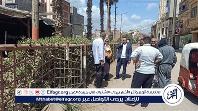 لاستقبال العيد..حملات مكثفة لتجميل حدائق وشوارع منية النصر بالدقهلية 