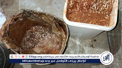 محافظ المنيا يوجه بتكثيف الحملات التموينية لضبط الأسواق وحماية صحة المواطنين طوال أيام عيد الفطر