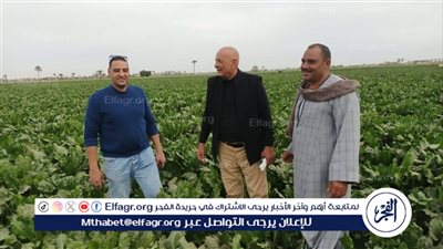 وكيل زراعة أسيوط يتفقد زراعات المحاصيل الشتوية بمراكز أبوتيج وصدفا والغنايم خلال إجازة عيد الفطر المبارك 