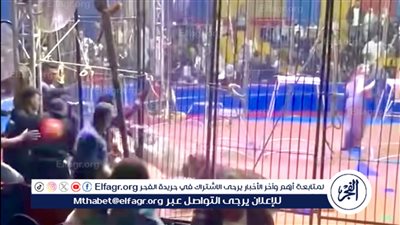 عاجل..إصابة عامل في هجوم أسد علية فى السيرك القومي بطنطا 