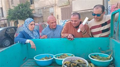 التموين: ضبط 265 كجم من الأسماك المملحة غير صالحة للاستهلاك الآدمي بكفر الشيخ