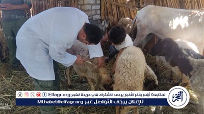  انطلاق الحملة القومية الأولى لتحصين الماشية ضد الحمى القلاعية والوادي المتصدع بالفيوم 