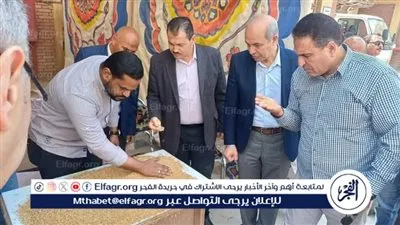 أفتتاح موسم توريد القمح المحلي لعام 2025 بمحافظة الفيوم نظرًا لنضج المحصول مبكرًا