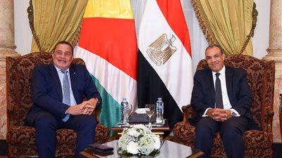 جلسة مشاورات ثنائية بين وزير الخارجية والهجرة ونظيره السيشلي