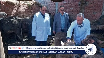 محافظ الدقهلية: تحصين نحو 12 ألف رأس ماشية ضد الحمى القلاعية في أول أيام الحملة