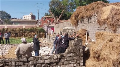 إزالة فورية في المهد لأعمال بناء مخالفة على أرض زراعية في قرى نبروه بالدقهلية