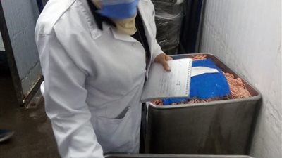 بيطرى الشرقية يضبط 2 طن أسماك مجمدة ولحوم ودواجن وكبده مخالفة