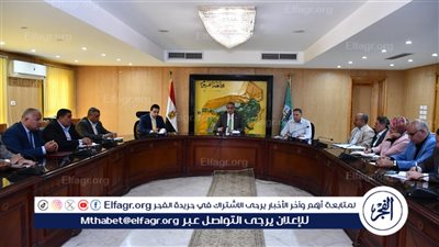 محافظ الفيوم يناقش خطة ومستهدفات العمل للجان استغلال أراضي الدولة المستردة 