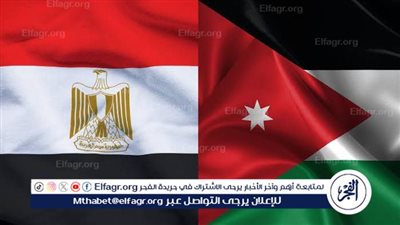 أستاذ علاقات دولية: مصر هي العمود الفقري في دعم القضية الفلسطينية