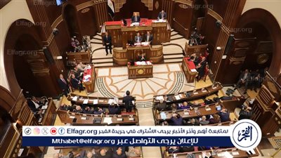 بعد إحالتها لرئيس الجمهورية.. تعرف على أهداف دراسة تطوير الإفراج الجمركي المصري بمجلس الشيوخ