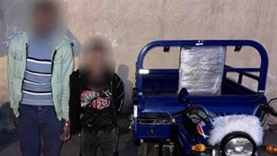 ضبط شخصين لقيامهما بسرقة هاتف محمول سيدة بالإسكندرية 