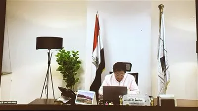 نائب وزير الصحة تشارك افتراضيًا في الدورة 58 للسكان والتنمية بالأمم المتحدة