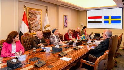 وزيرة البيئة تبحث مع السفير السويدى بالقاهرة تعزيز التعاون الثنائي في التحول الأخضر