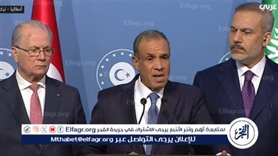 بدر عبد العاطي: أي شكل من أشكال تهجير الفلسطينيين مرفوض تماما.. وخط أحمر