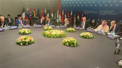 اجتماع موسع للجنة الوزارية العربية الإسلامية حول غزة مع روسيا والصين والاتحاد الأوروبي وأيرلندا والنرويج وسلوفينيا وإسبانيا