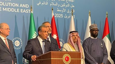 وزير الخارجية والهجرة: نرفض خلق أي بيئة ضاغطة على الفلسطينيين من أجل التهجير