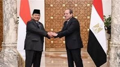 خبير: مصر صاحبة الرأي ومركز صناعة القرار العالمي