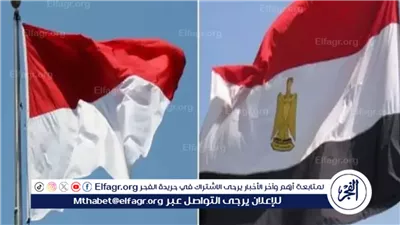 قبل زيارة الرئيس برابوو سوبيانتو.. تعرف على تاريخ العلاقات بين مصر وأندونسيا