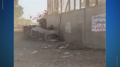 كشف ملابسات واقعة تعدى أجنبية بالضرب شاب بالجيزة